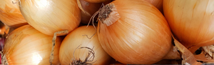 Silicone vs. Onion Extract: Which Is Better for Scar Reduction?